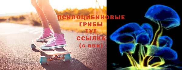 дурь Нягань