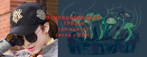 дурь Нягань