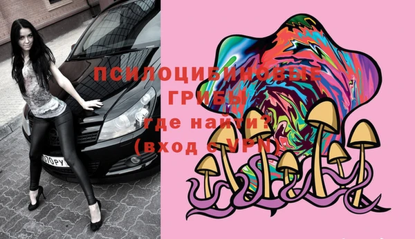 дурь Нягань